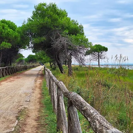 Διαμέρισμα Cozy Near The In